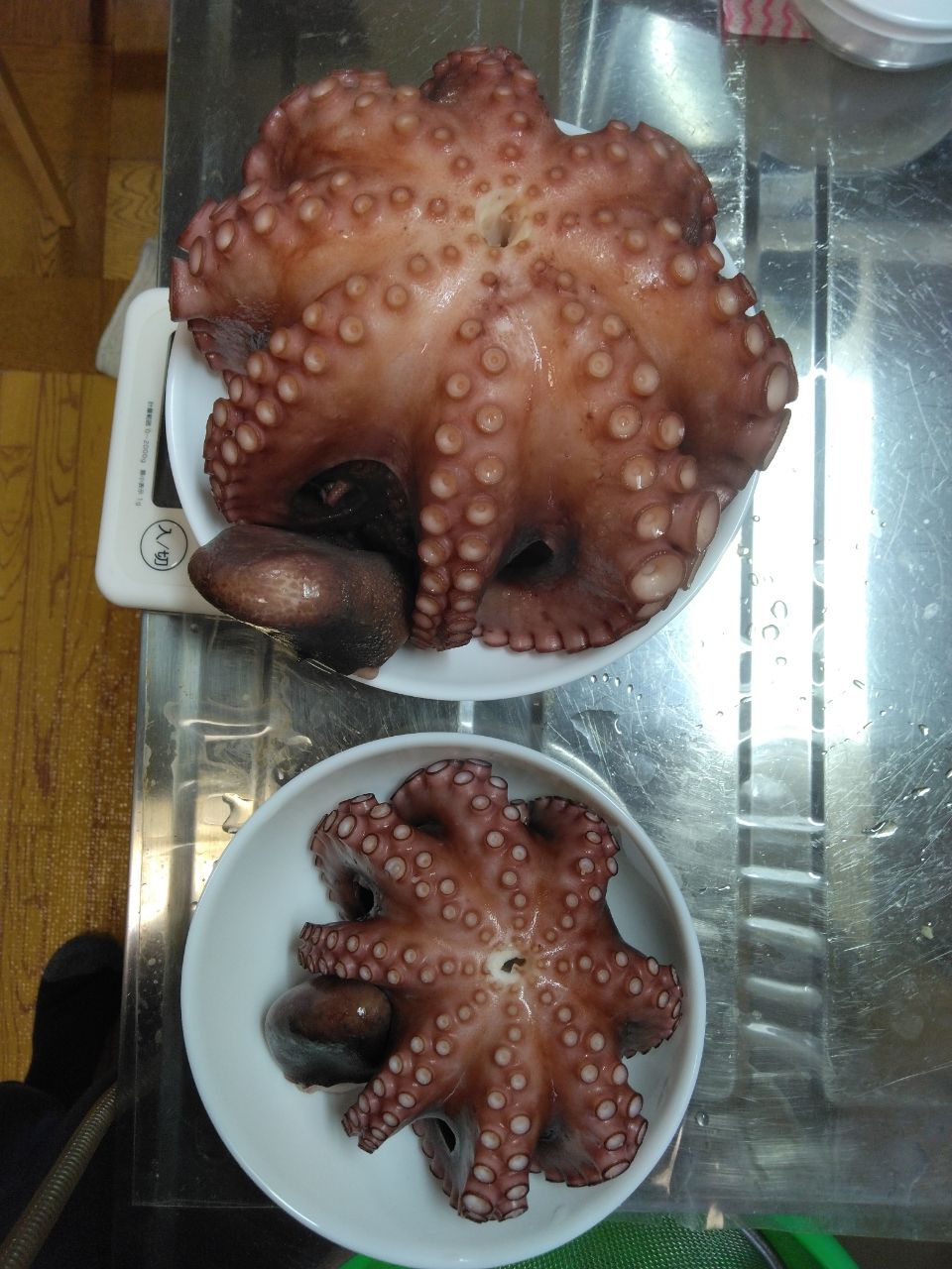 Fugutako～🐡🐙さんの釣果 2枚目の画像