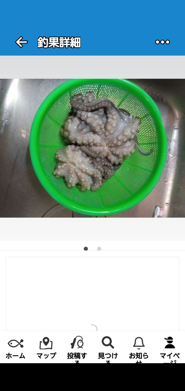 Fugutako～🐡🐙さんの釣果 2枚目の画像
