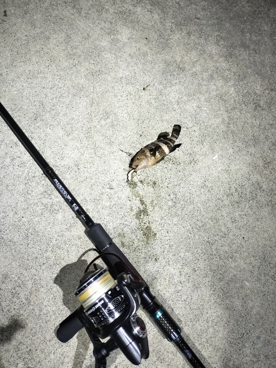 DAIWA 16エメラルダス ストイスト AGS IL 79MMHの最安値・インプレ