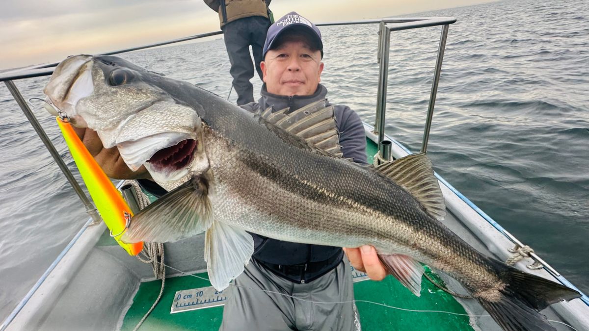 TARGET Chibaさんの釣果 1枚目の画像
