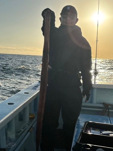 アカヤガラの釣果