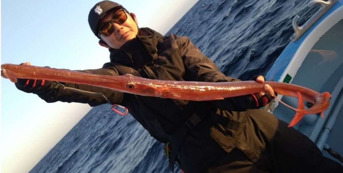 アングラーSASUKEさんの釣果 2枚目の画像