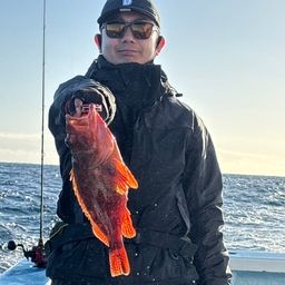 ウッカリカサゴ