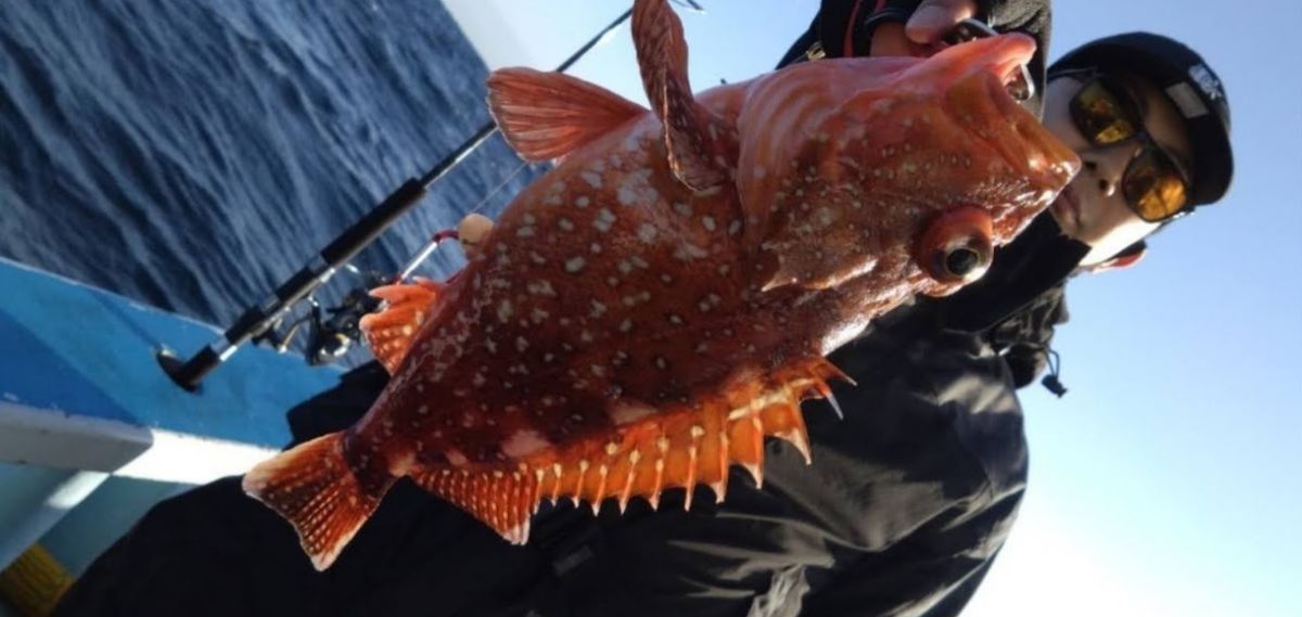 アングラーSASUKEさんの釣果 2枚目の画像