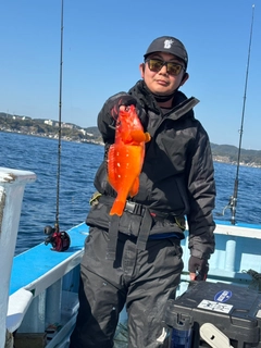 アカハタの釣果