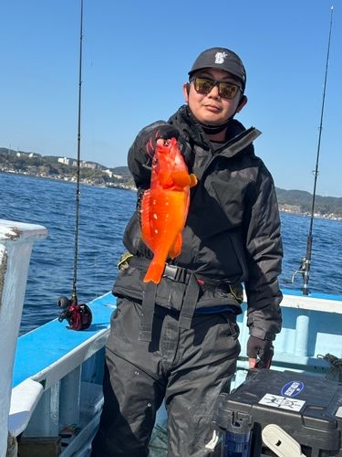 アカハタの釣果