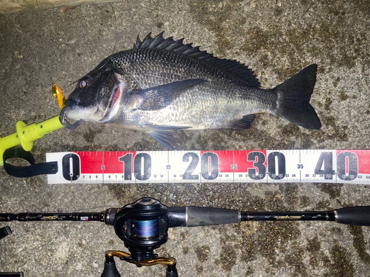 AbuGarcia クロスフィールド XRFC-704M-MBの最安値・インプレ・釣果