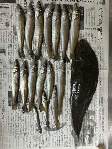 茅ヶ崎ヘッドランド