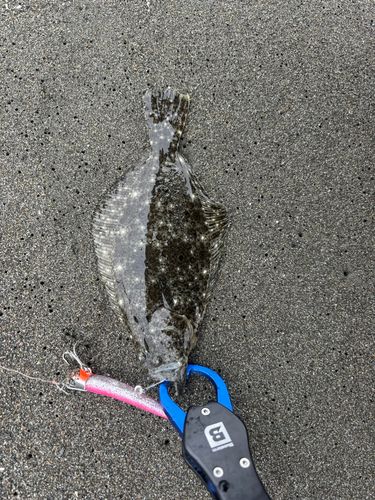 辻堂海浜公園前