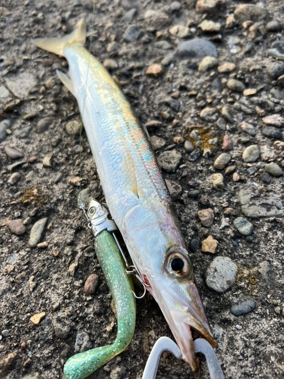 SHIMANO 23ヴァンキッシュ C3000MHGの最安値・インプレ・釣果 | 本音の