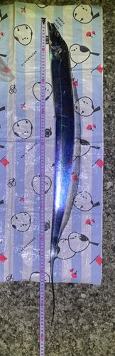 本牧海づり施設