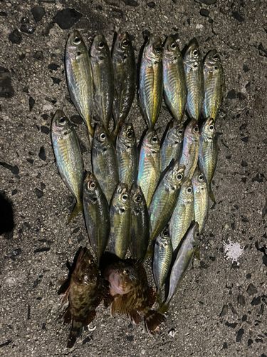 周防大島（屋代島）