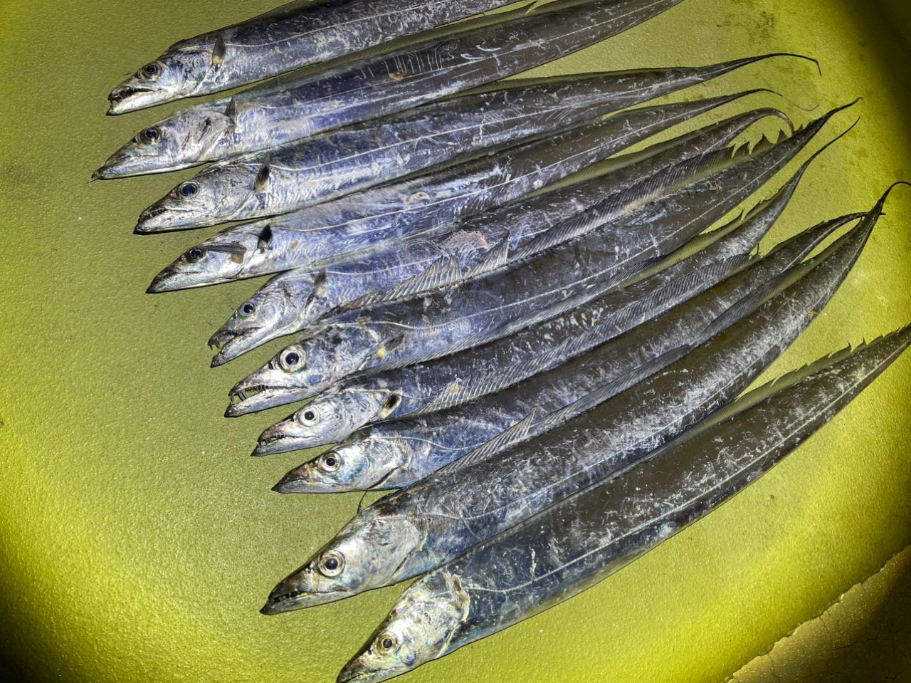 DAIWA 21ラブラックス AGS 93MLの最安値・インプレ・釣果 | 本音の