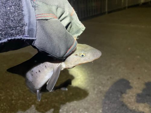 千葉港中央埠頭