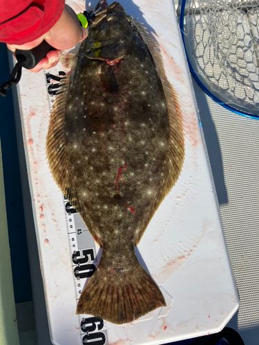 沖ノ島（和歌山）