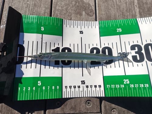 小名浜港アクアマリンふくしま周辺