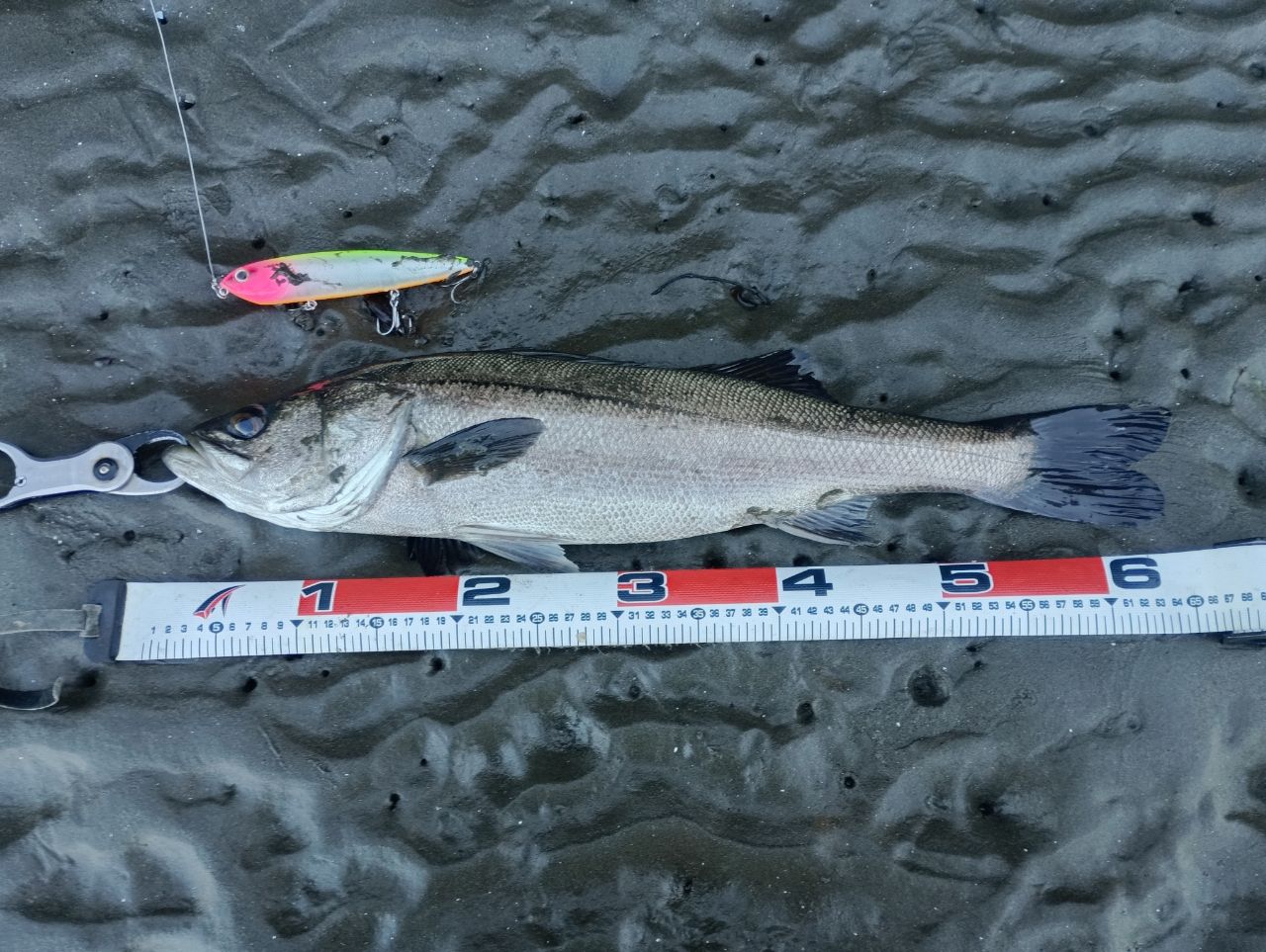 APIA 21フージン'RS C79MHの最安値・インプレ・釣果 | 本音の