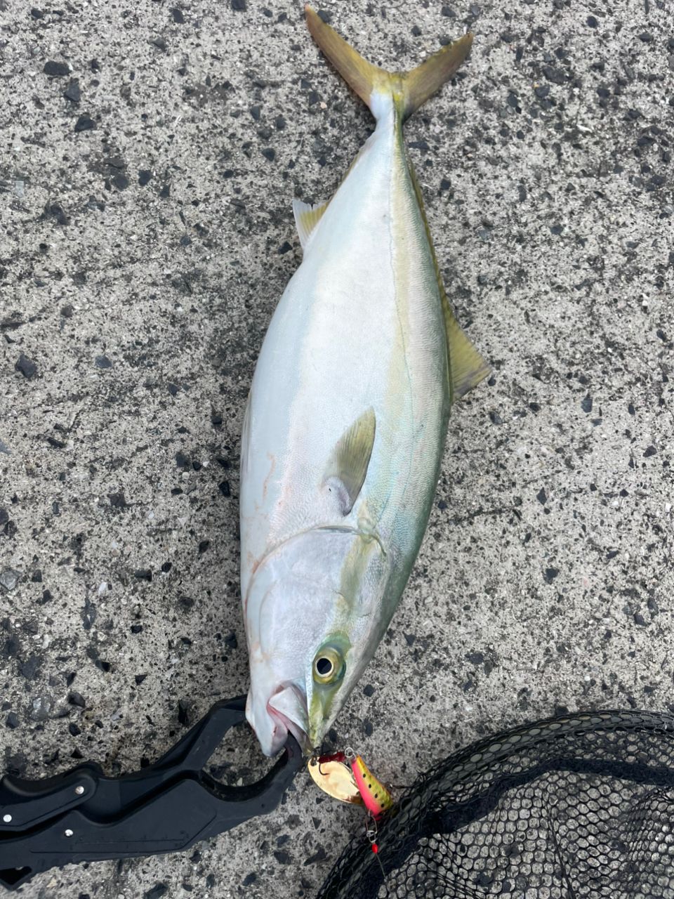 SHIMANO 19コルトスナイパー SS S96Mの最安値・インプレ・釣果 | 本音