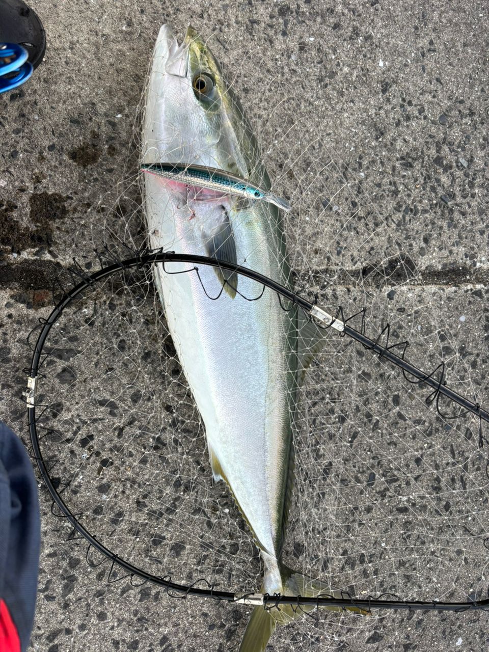 SHIMANO 23コルトスナイパー BB LSJ S100Lの最安値・インプレ・釣果