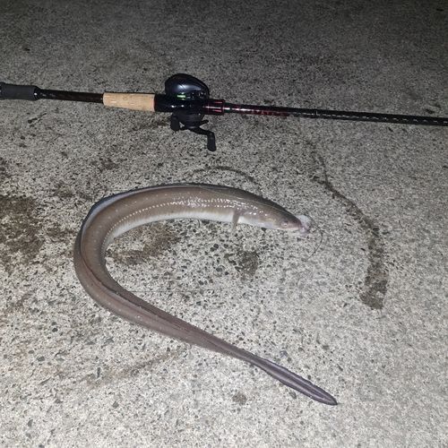 三陸海岸（青森）