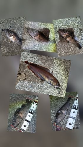 三陸海岸（岩手）