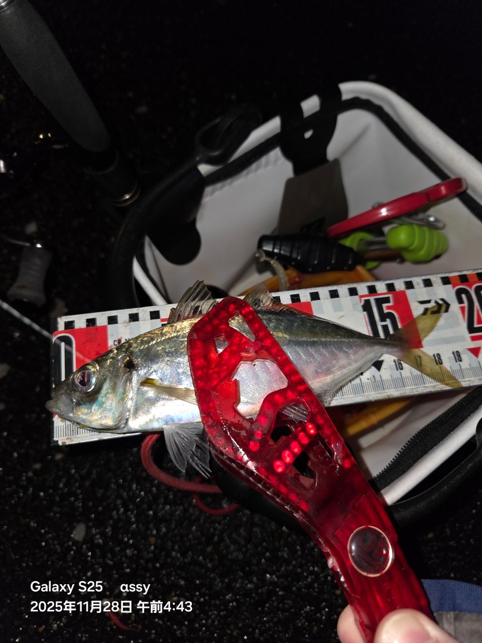 SHIMANO 17ソアレ CI4+ アジング S608UL-Sの最安値・インプレ・釣果