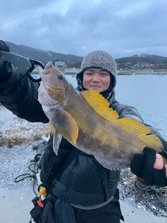 アイナメの釣果
