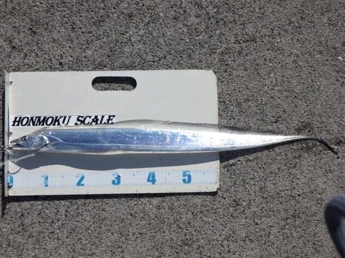 本牧海づり施設