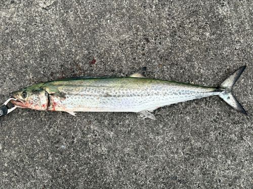 周防大島（屋代島）