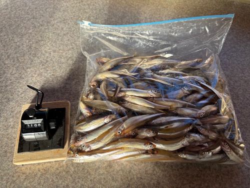 野尻湖（長野）