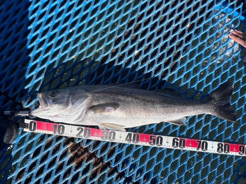 養老川臨海公園