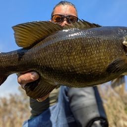 スモールマウスバス