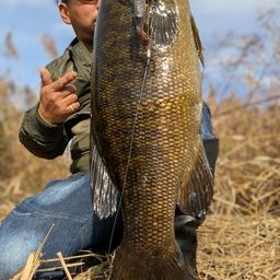 スモールマウスバス