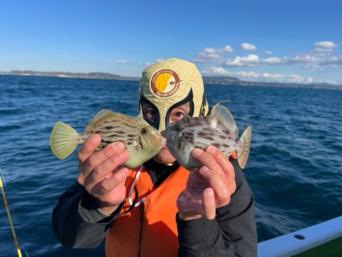 カワハギの釣果