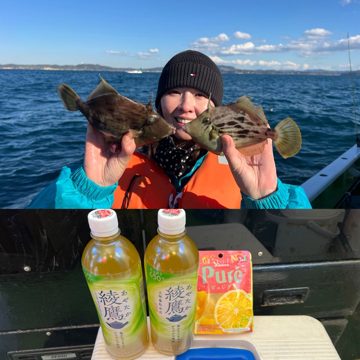 政信丸さんの釣果 3枚目の画像