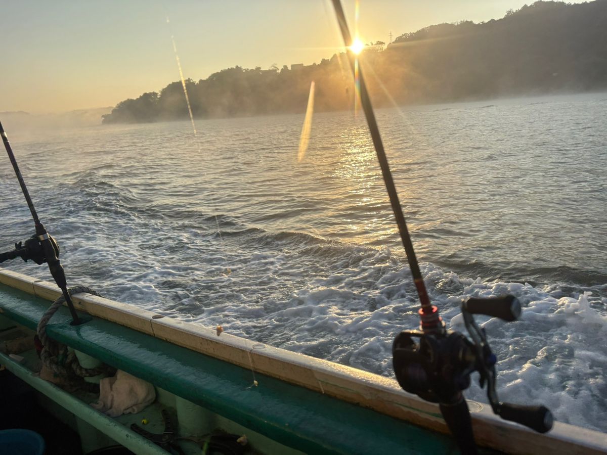 シーラインさんの釣果 2枚目の画像