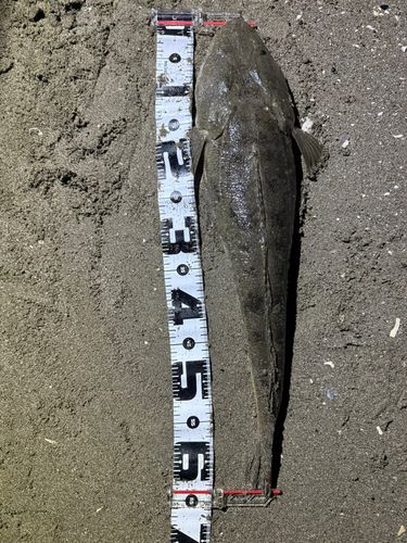 新舞子海岸（富津）