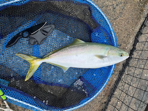 アジュール舞子