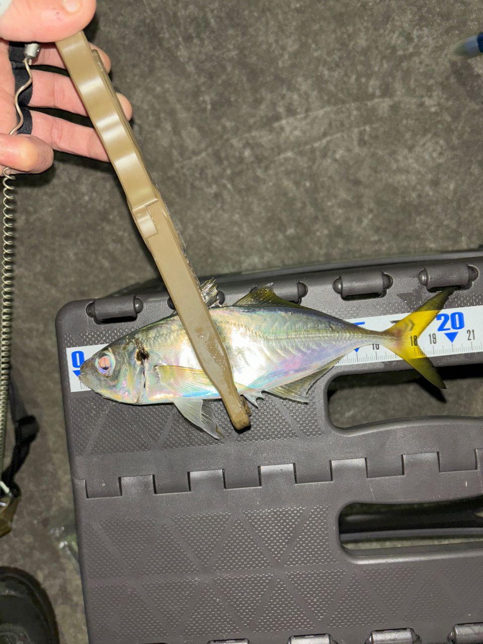 Gamakatsu ラグゼ 宵姫 華 弍 S62UL-solidの最安値・インプレ・釣果