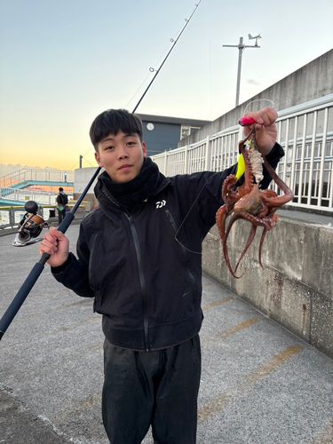 本牧海づり施設