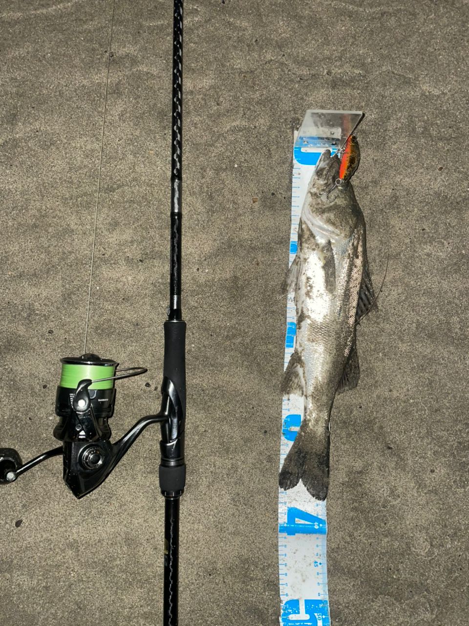 SHIMANO 20ルナミス S96Mの最安値・インプレ・釣果 | 本音の口コミが