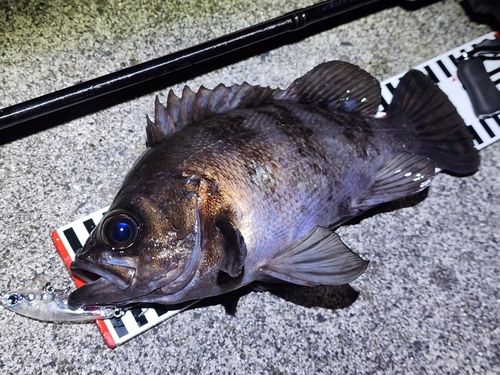 三陸海岸（宮城）