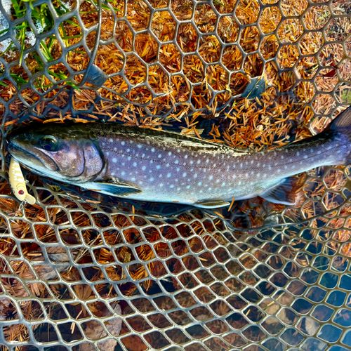 那須白河フォレストスプリングス