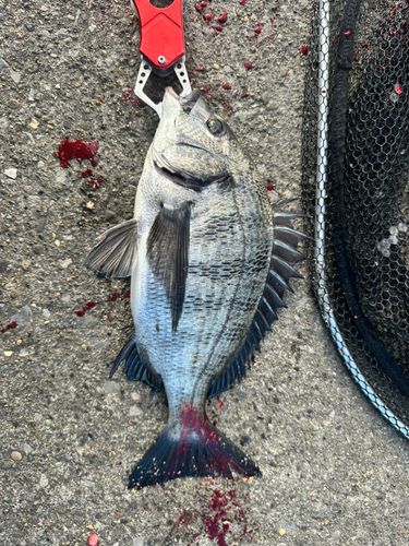 千葉港中央埠頭