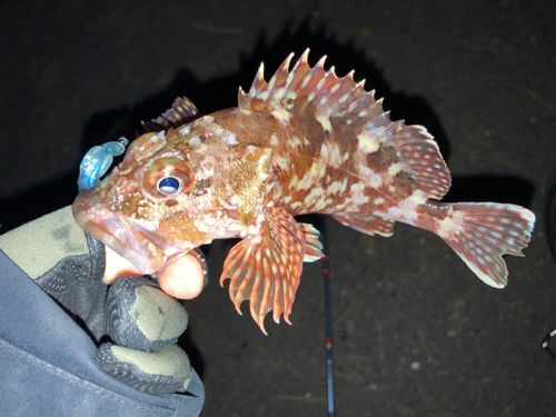 東京湾（アクアライン〜富津）