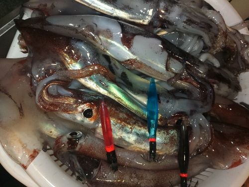 三陸海岸（岩手）