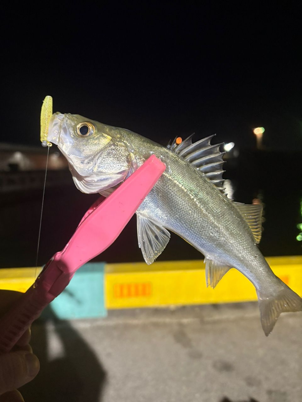SHIMANO 22ソアレ SS アジング S48SUL-Sの最安値・インプレ・釣果
