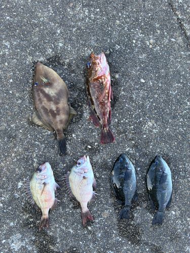 一万トン岸壁（姫路）