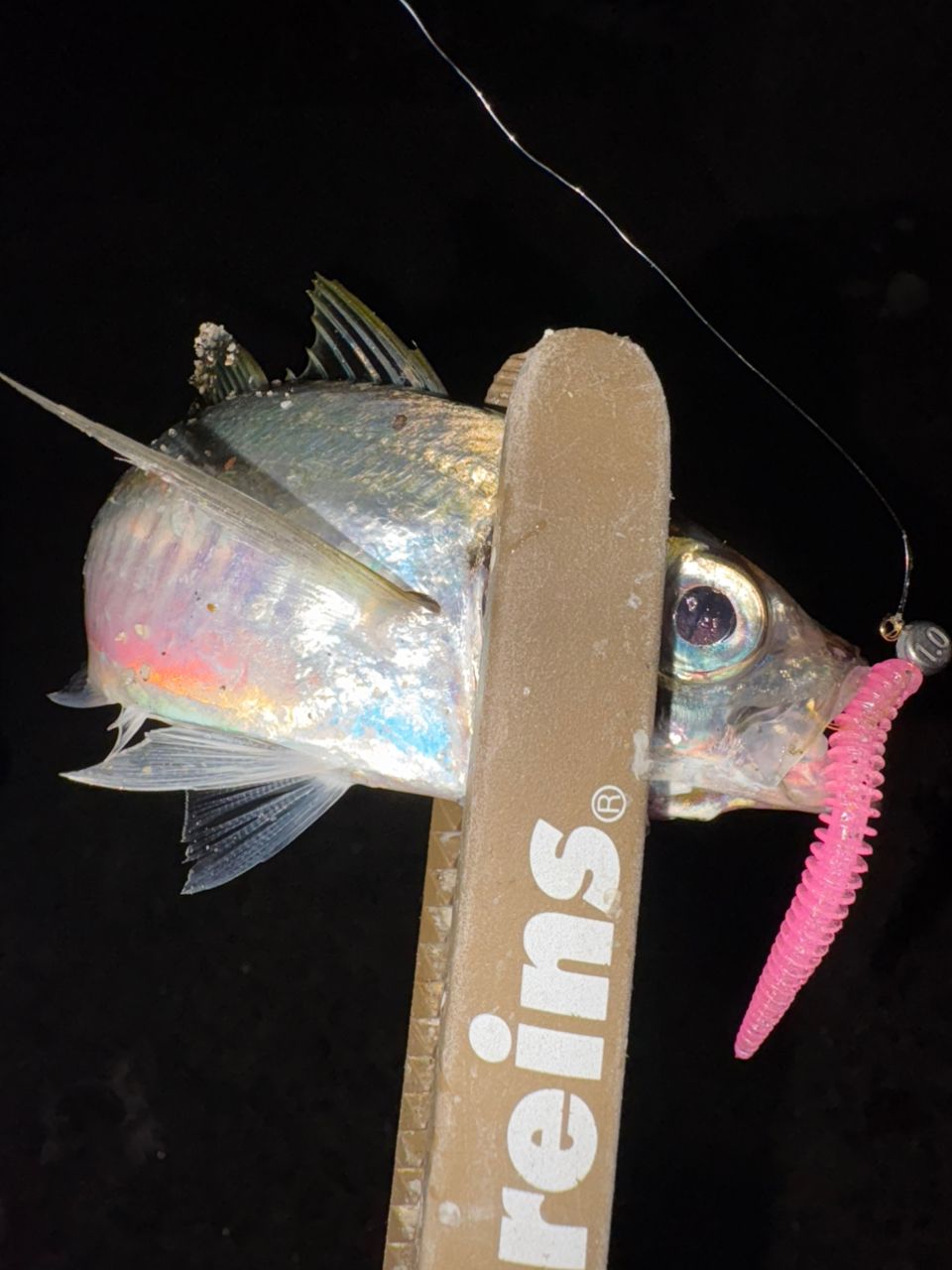 MajorCraft 鯵道 5G AD5-S582L/AJIの最安値・インプレ・釣果 | 本音の