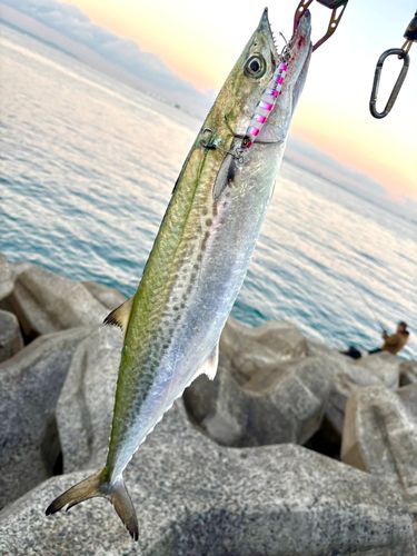 関西国際空港付近